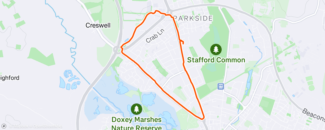 Map of the activity, 🍕