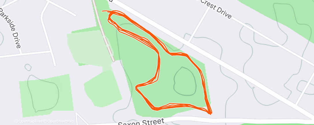 Карта физической активности (Morning Trail Run)