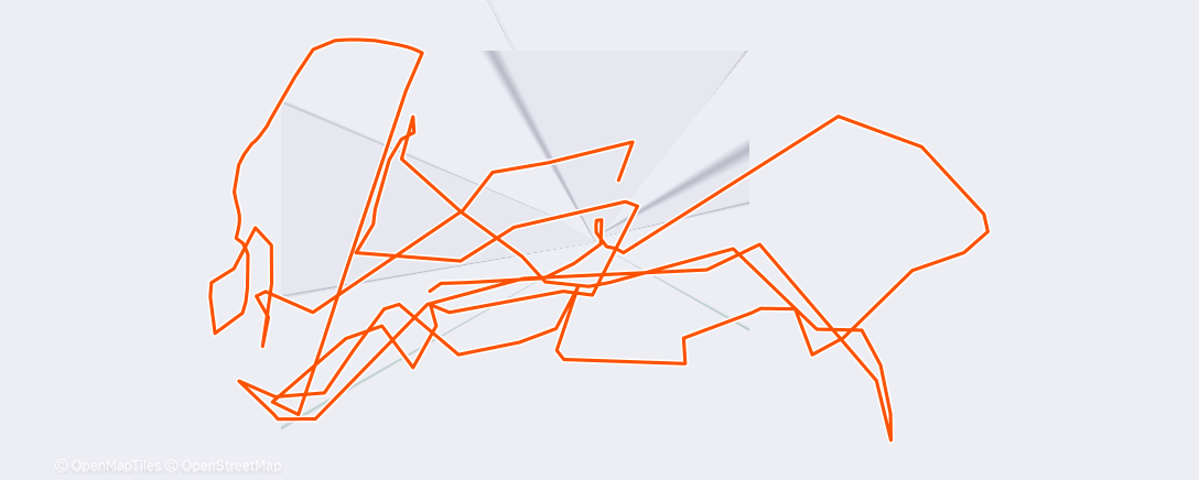 Карта физической активности (Тренировка (ночь))