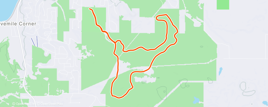 Карта физической активности (Afternoon Nordic Ski)