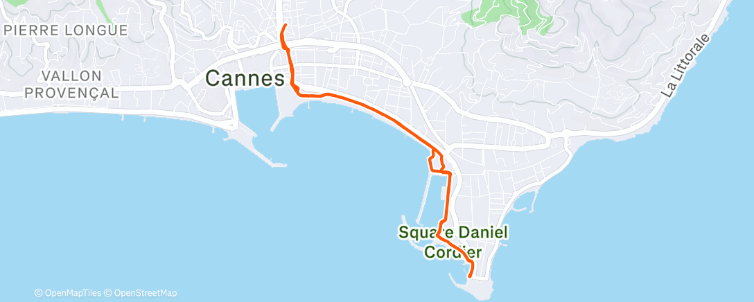 Карта физической активности (Morning Run)