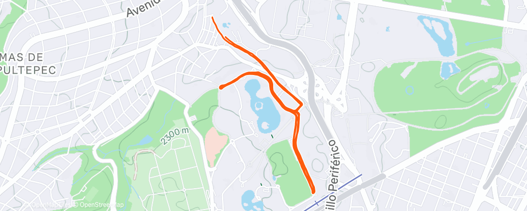Map of the activity, Morning Run