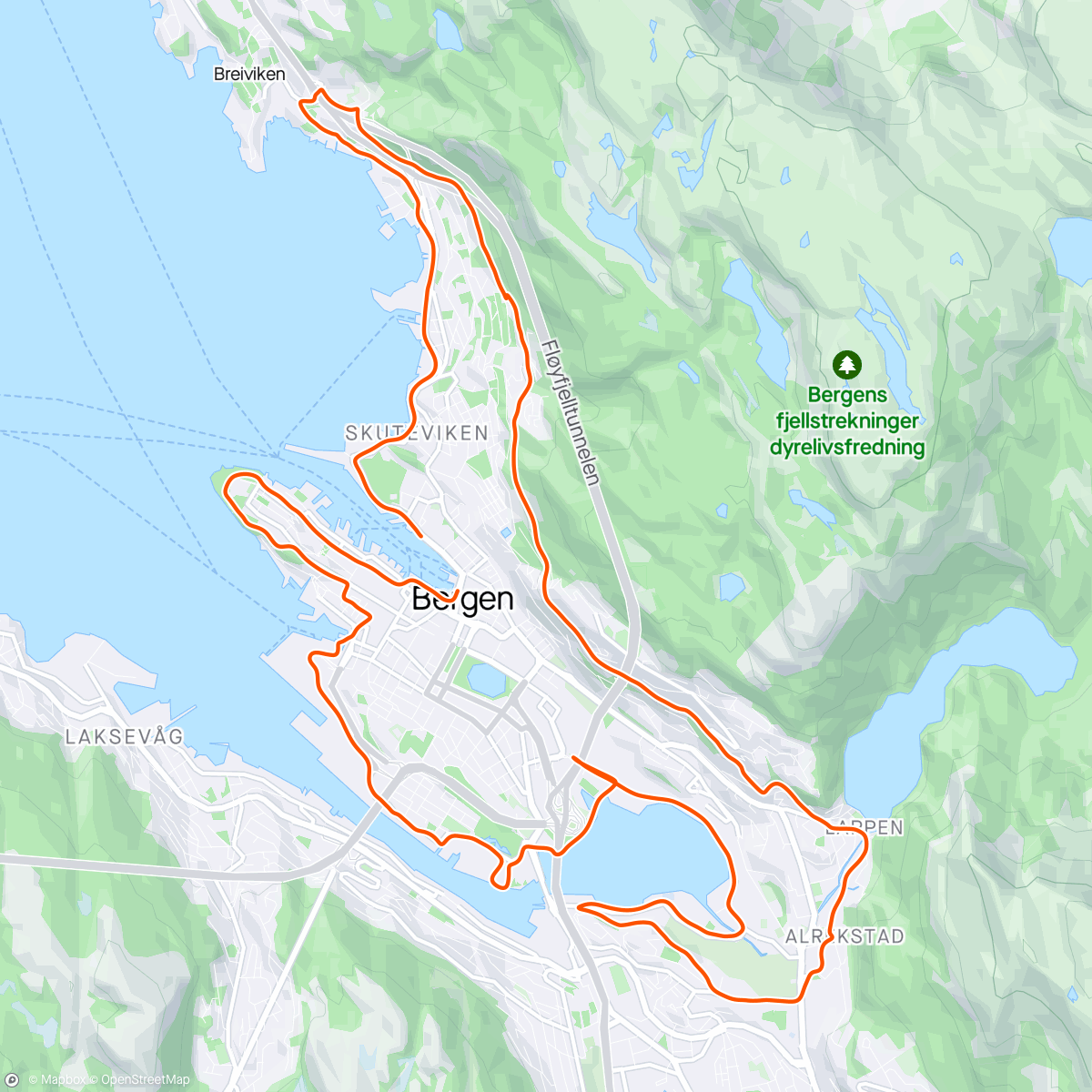 活动地图，Bergen by halv