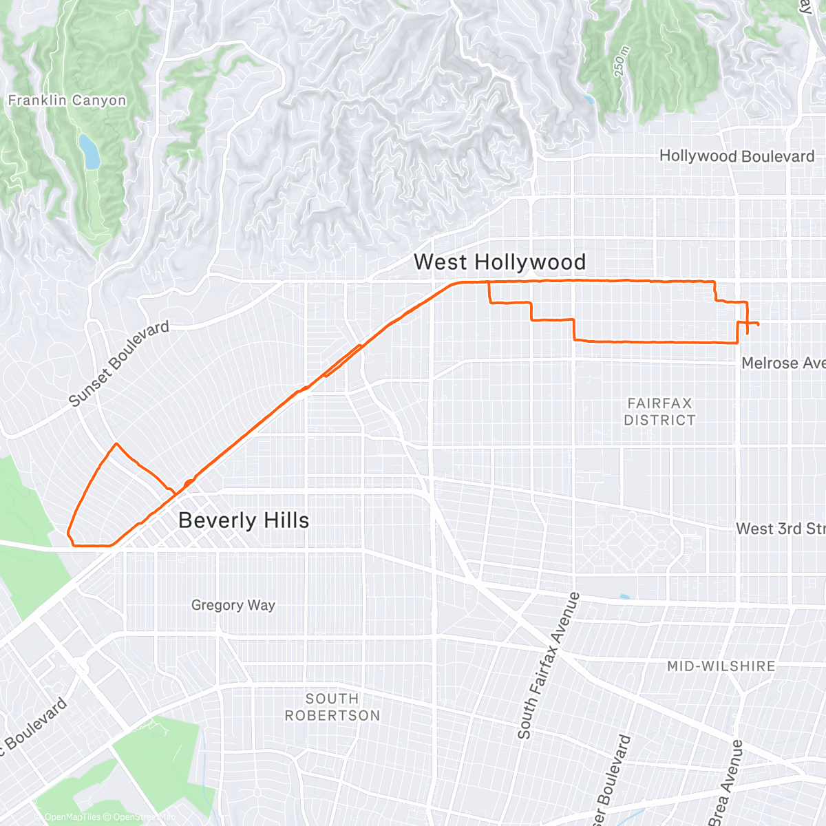 Map of the activity, Morning Run
