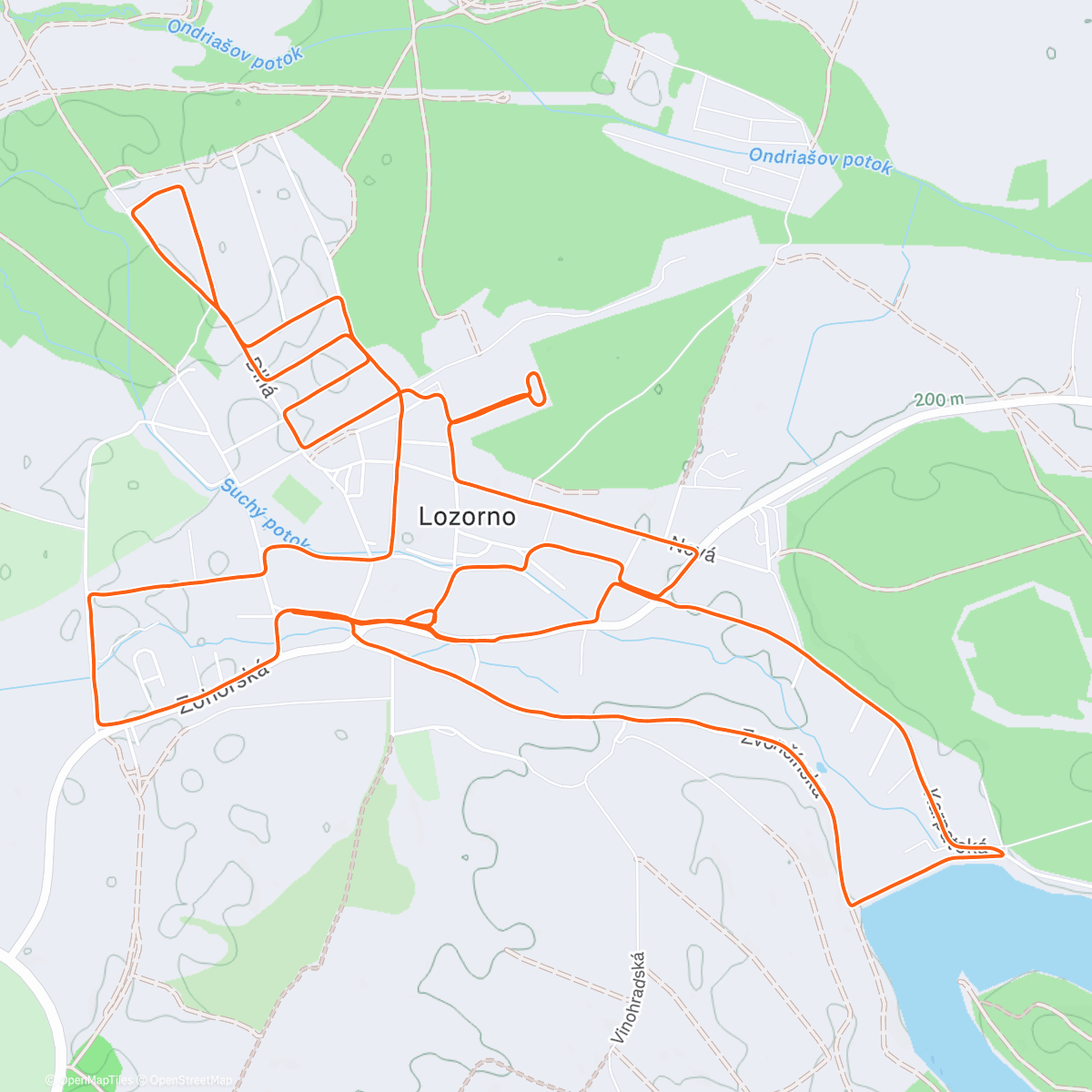 Map of the activity, Peace Light of Bethlehem 🕯️