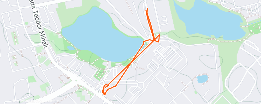 Map of the activity, Morning Walk