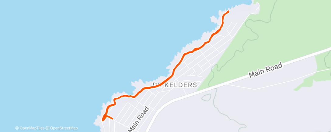 Карта физической активности (Morning Trail Run)