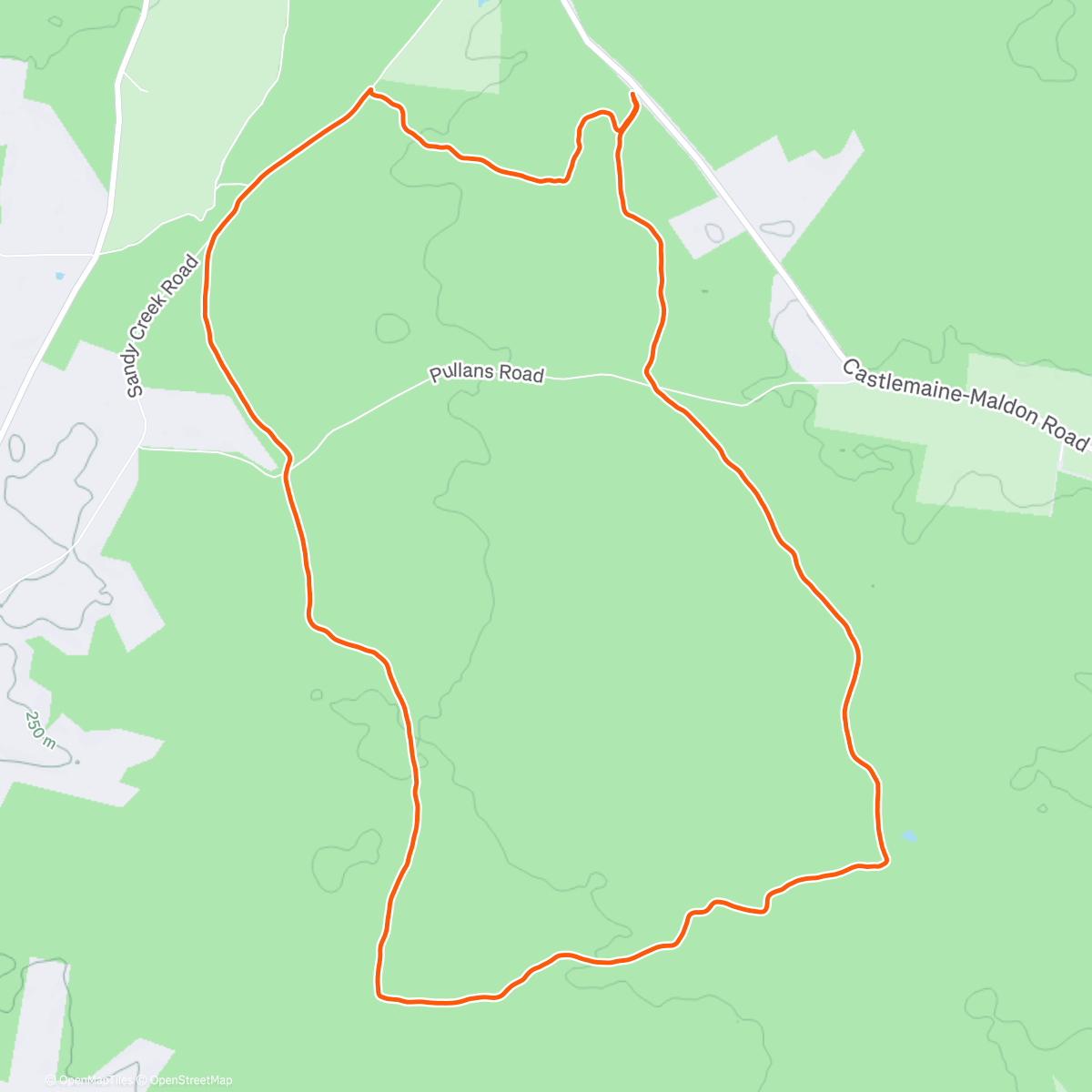 Map of the activity, Evening Trail Run
