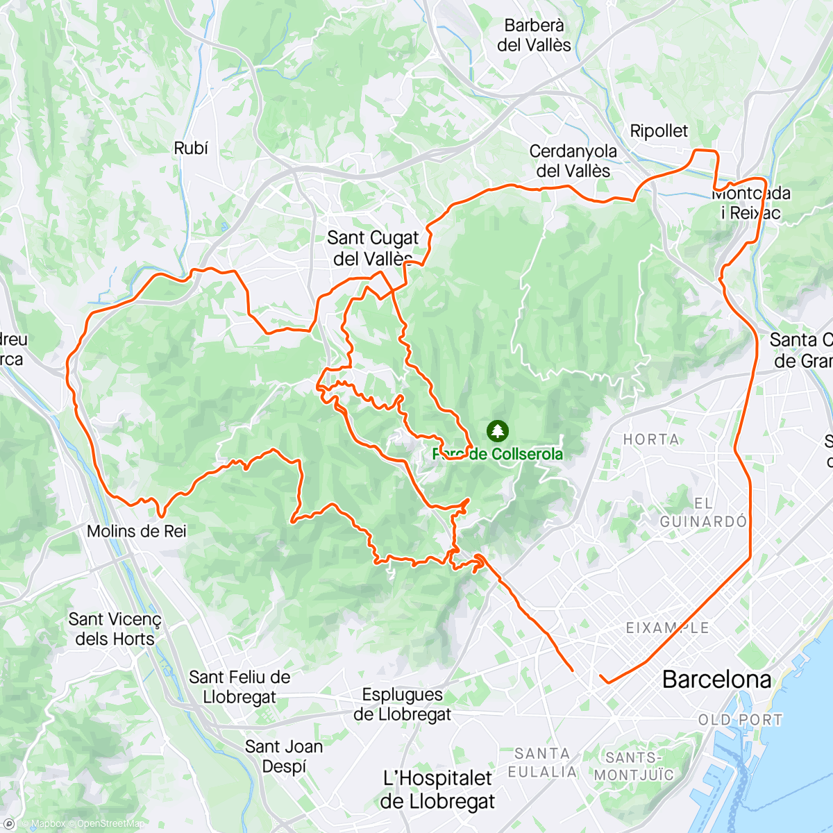 Map of the activity, Local drivers