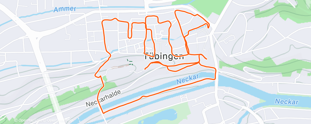 Map of the activity, Nett mit Allee