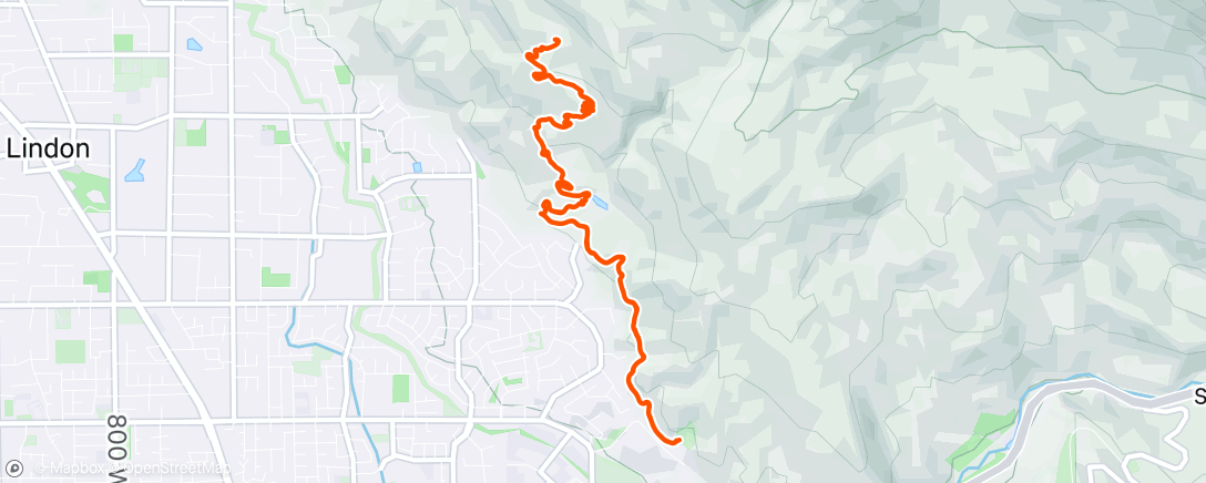 Map of the activity, Morning Trail Run