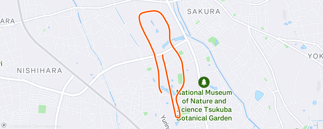 Map of the activity, Evening Run