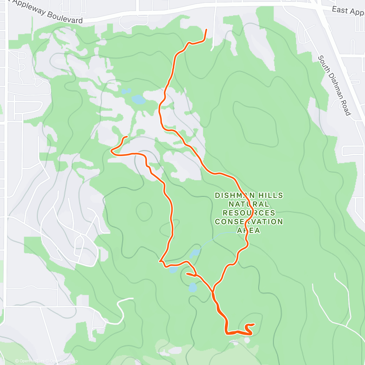 Map of the activity, Lunch Walk