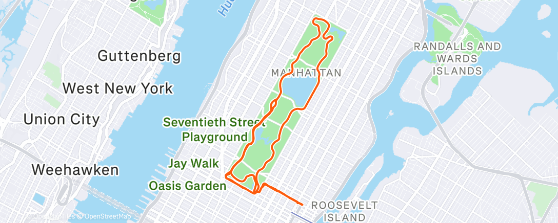 Map of the activity, Morning Run