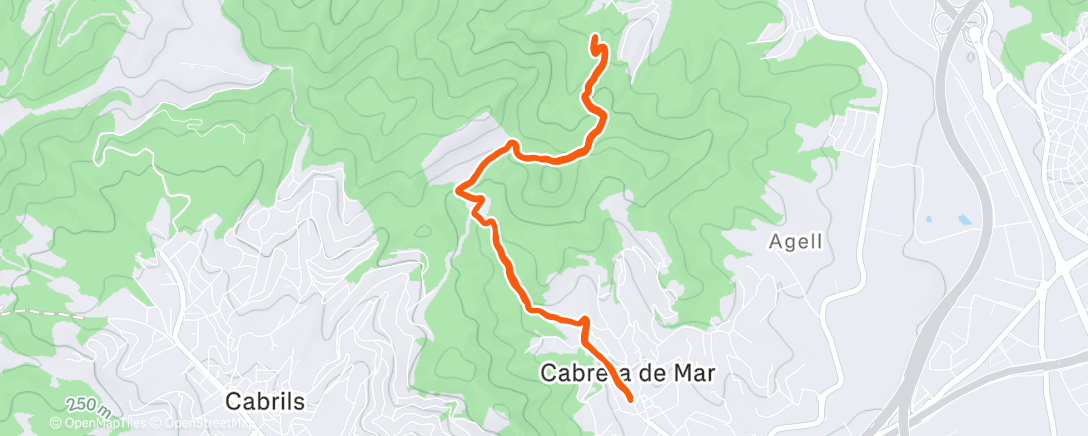 Map of the activity, Morning Trail Run