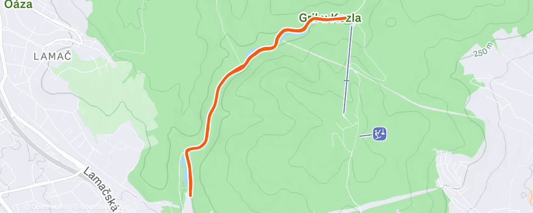 Map of the activity, Morning Run