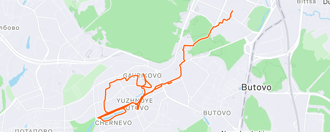 Карта физической активности (Evening Run)