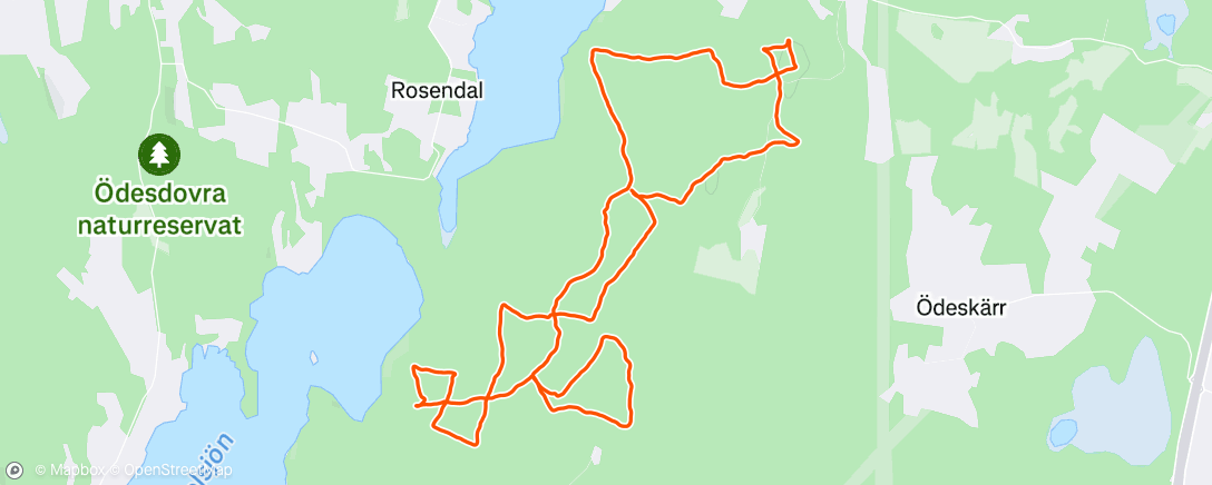 Map of the activity, Uppföljning, Luckebo
