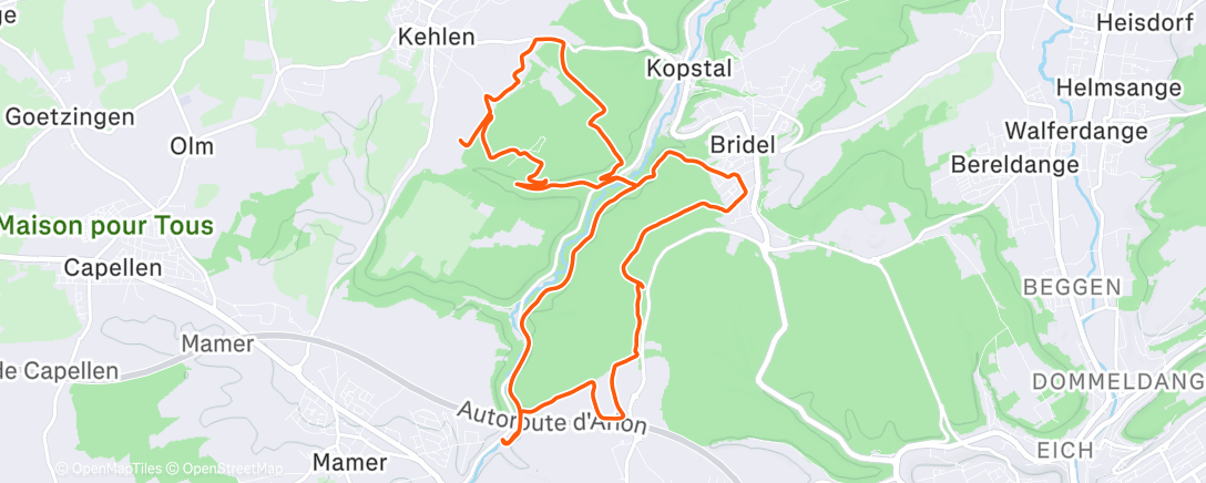 Карта физической активности (Afternoon Mountain Bike Ride)