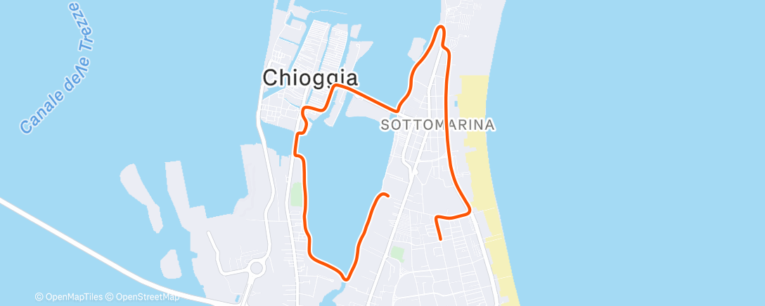 Карта физической активности (Evening Run)