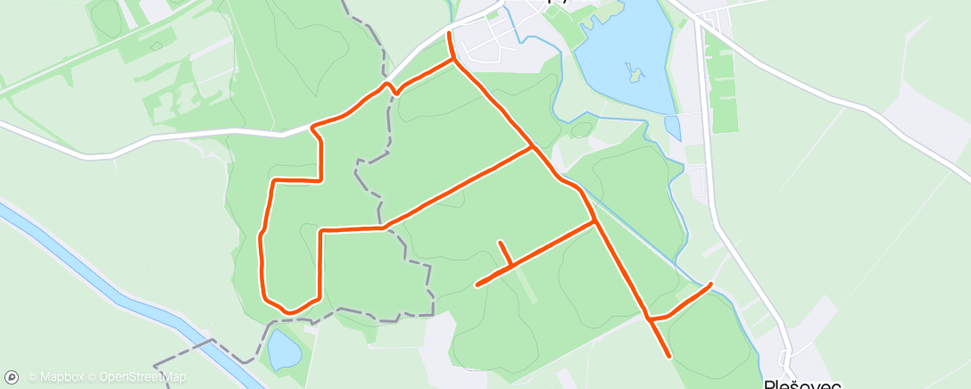 Map of the activity, 3×8' tempo