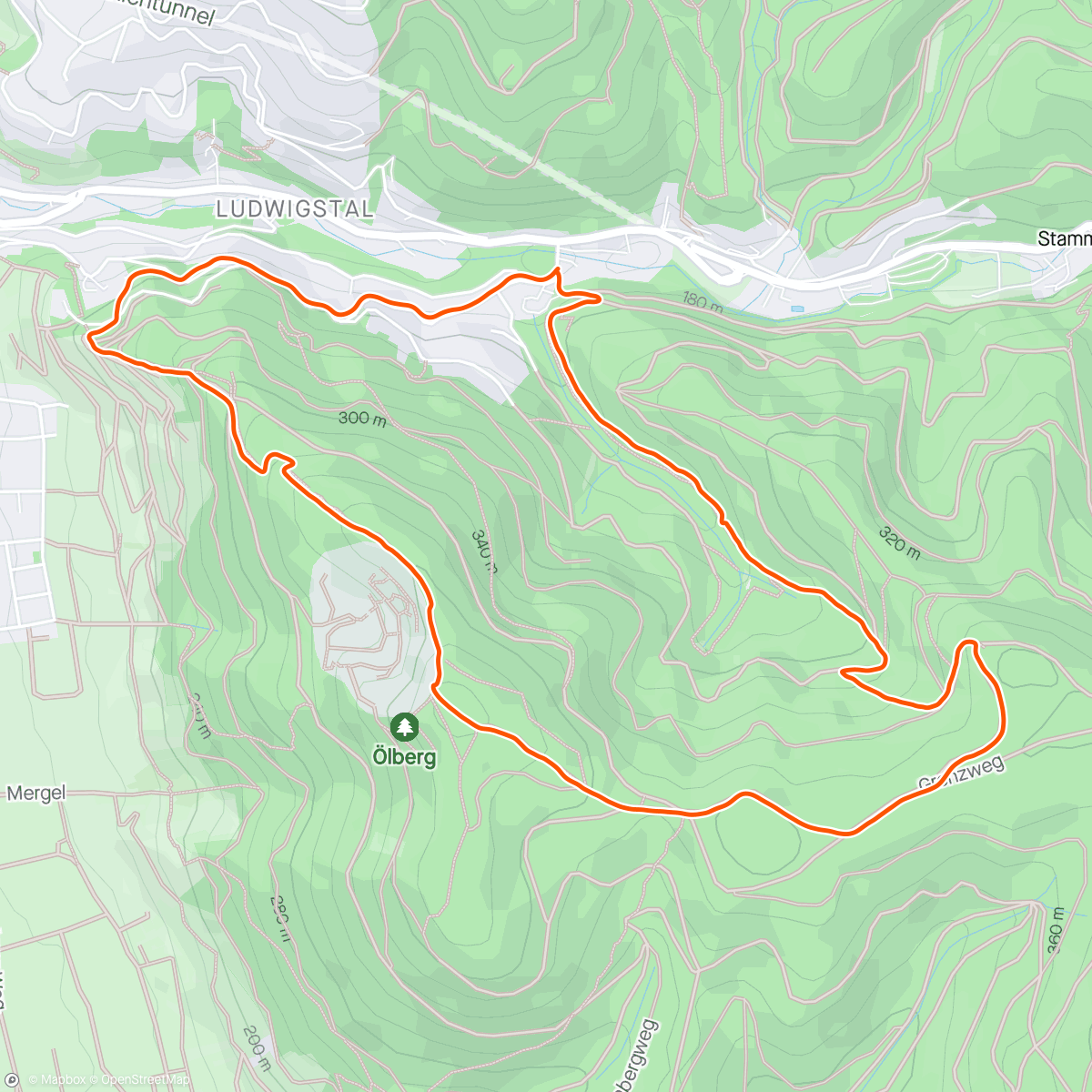 Map of the activity, Schriesheim Berglauf