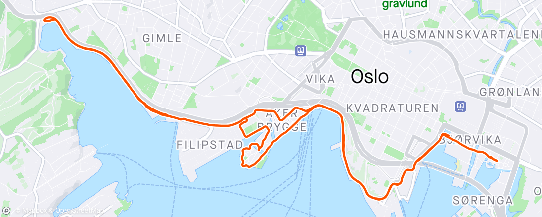 Map of the activity, Oslo run med Johannes