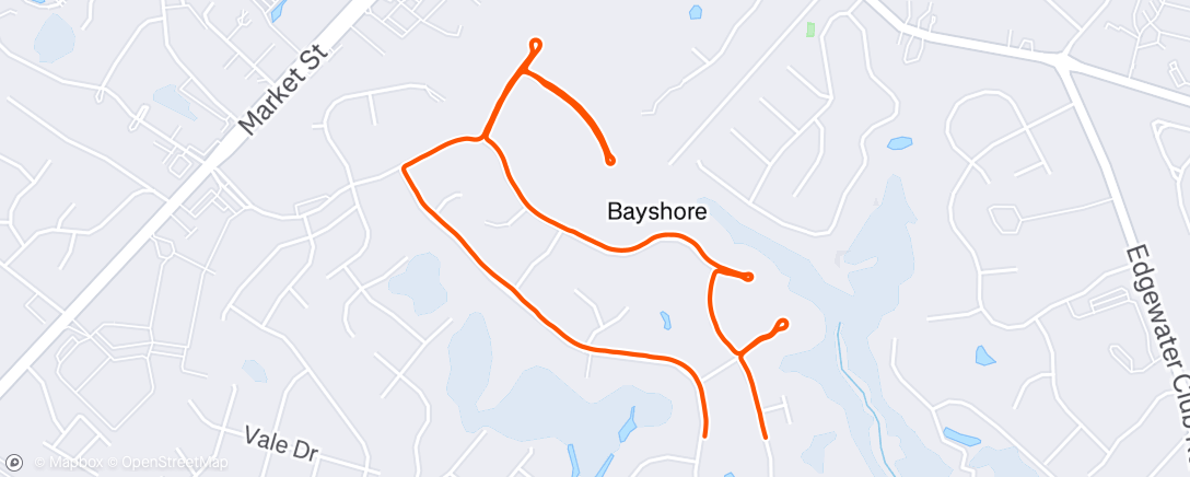 Map of the activity, Morning Run