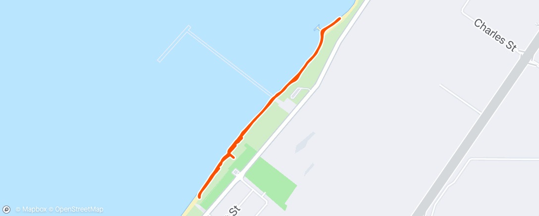 Map of the activity, longer than usual dog walk