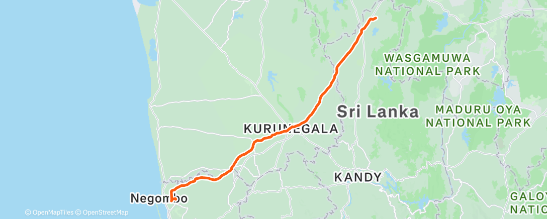 Map of the activity, Morning Ride