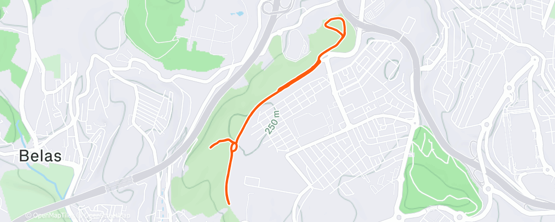 Map of the activity, Morning Run