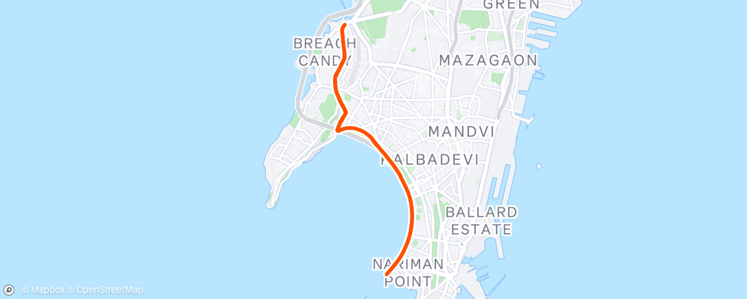 Map of the activity, Morning Run