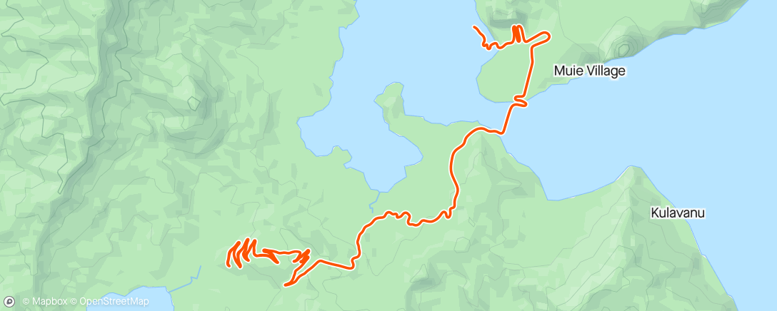 Map of the activity, Zwift - FRC intervals in Watopia