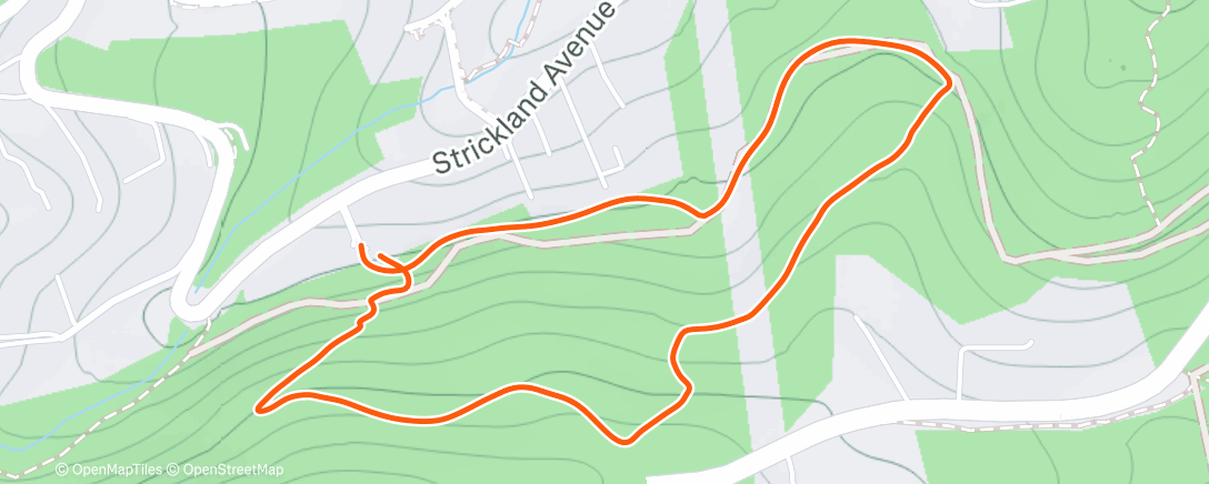 Map of the activity, Morning Walk