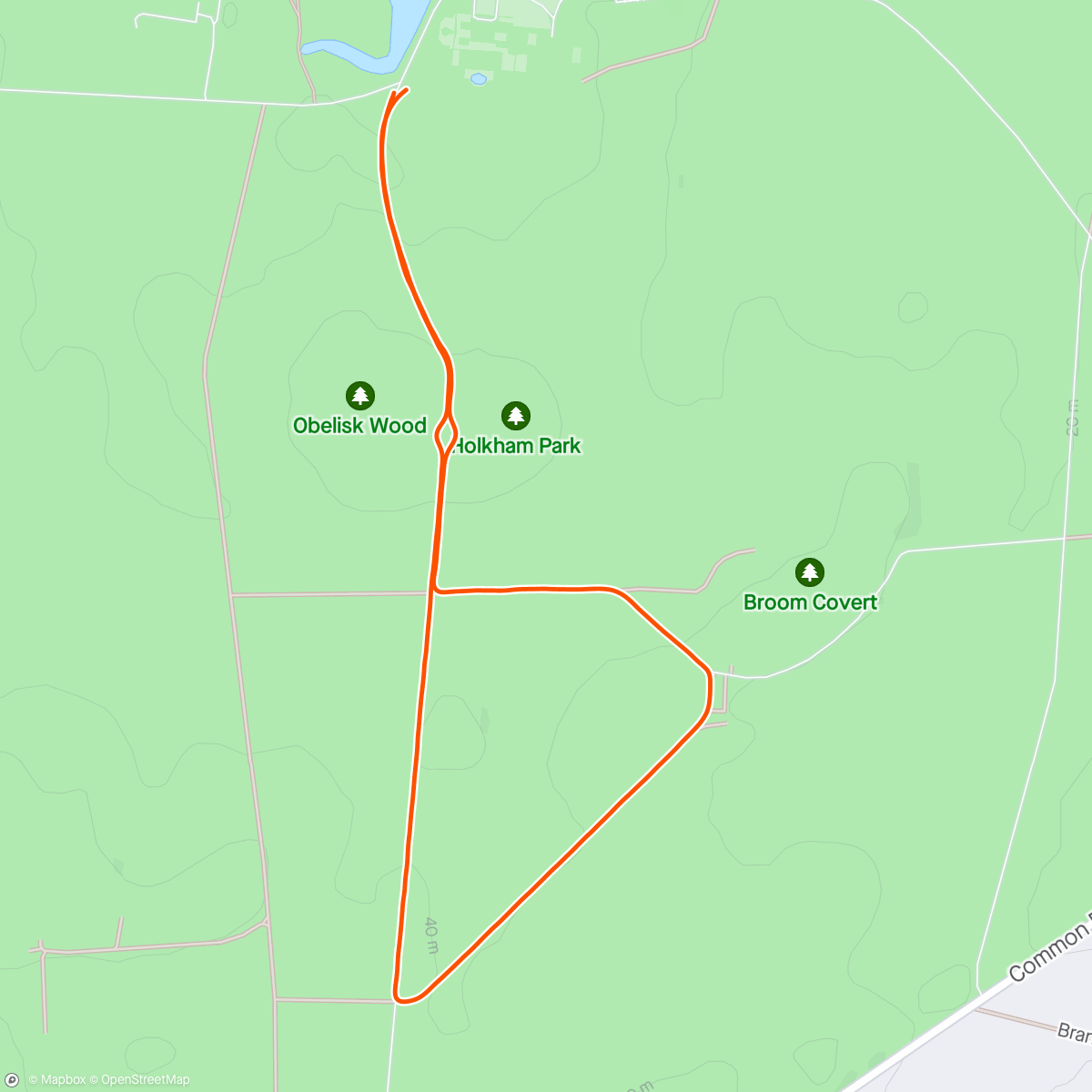 Map of the activity, Holkham parkrun 🥈