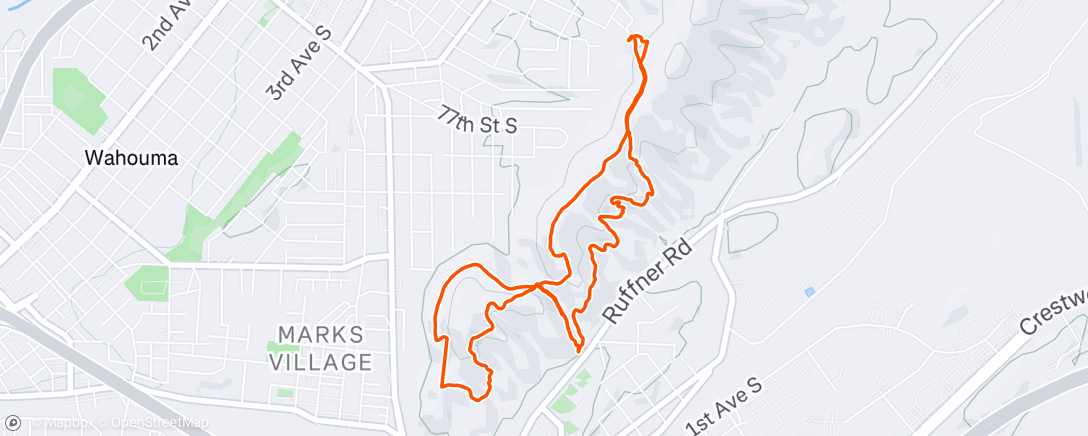 Map of the activity, Morning Trail Run