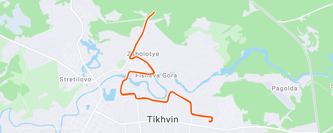 Карта физической активности (Дневной забег)