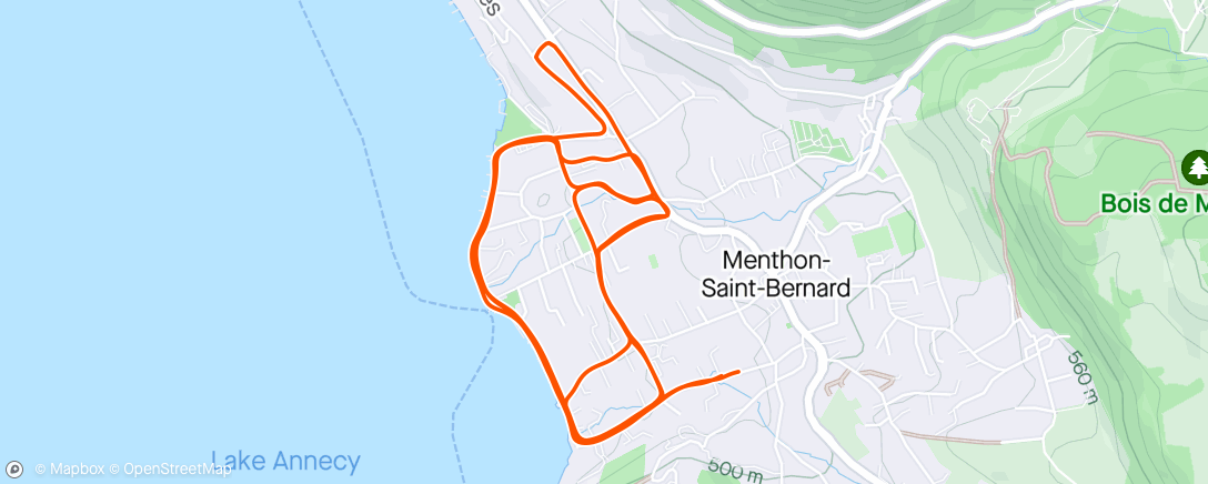 Map of the activity, Menthon