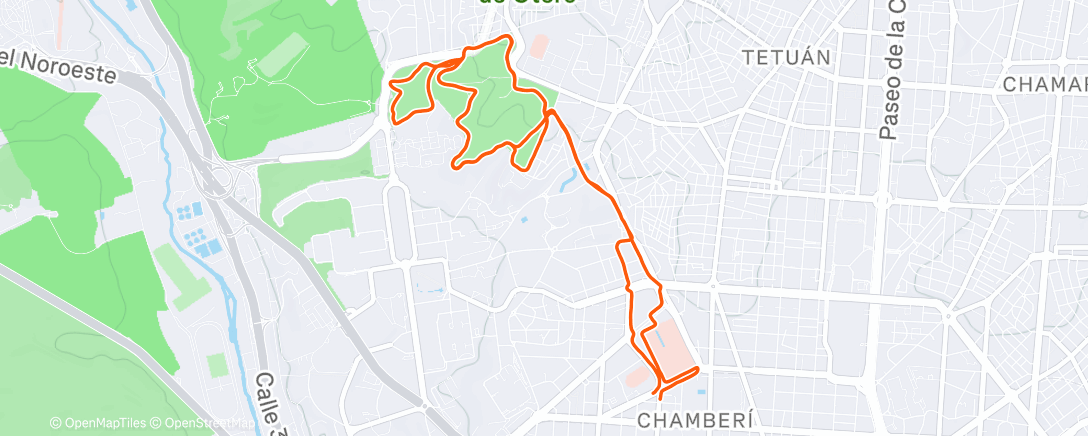 Карта физической активности (Evening Run)