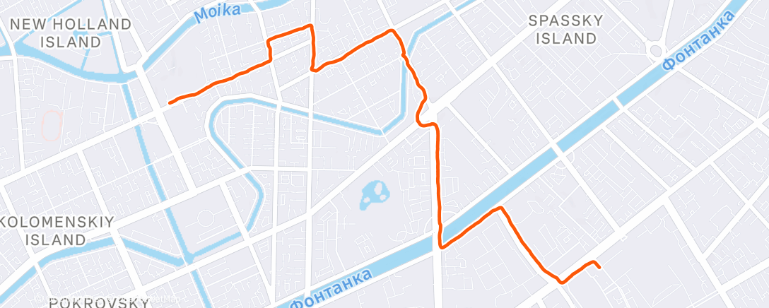 Карта физической активности (Утренняя прогулка)