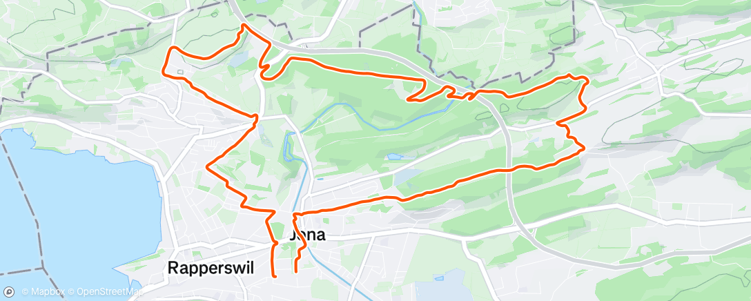 Map of the activity, Morning Run