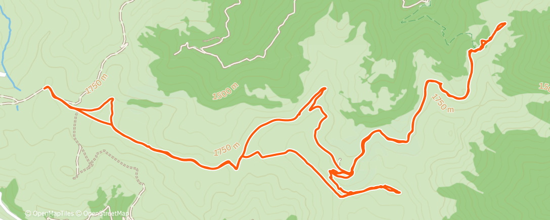 Eric Lacaze | Strava Runner Profile