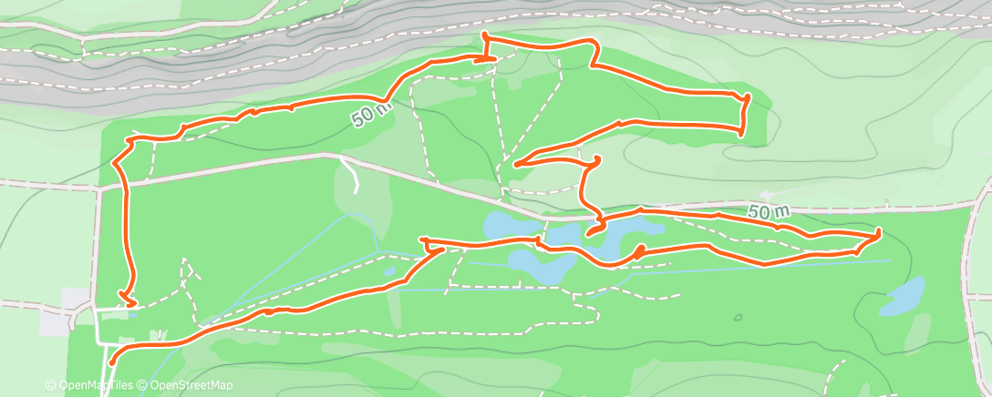 Карта физической активности (Avec Tom 9⛳️)