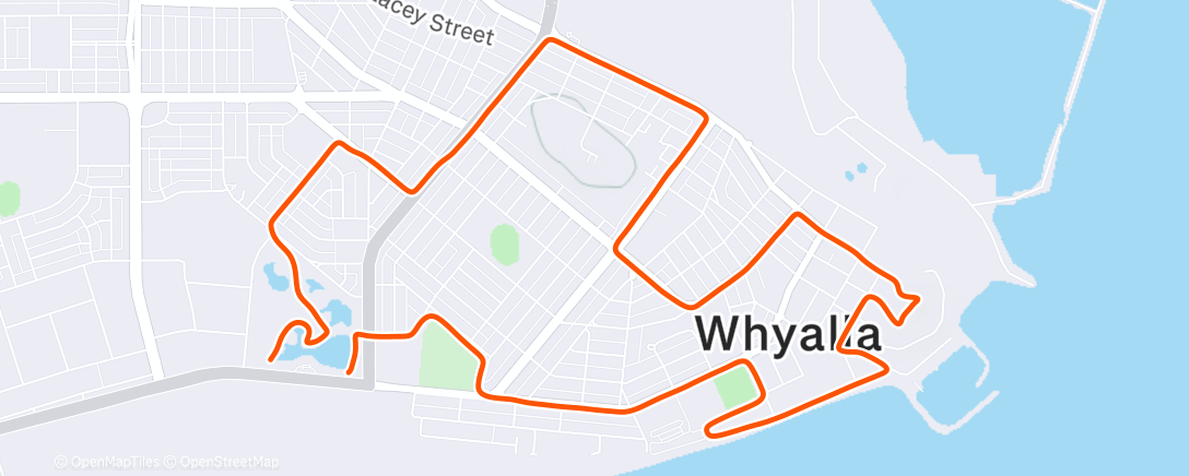 Map of the activity, Morning Run