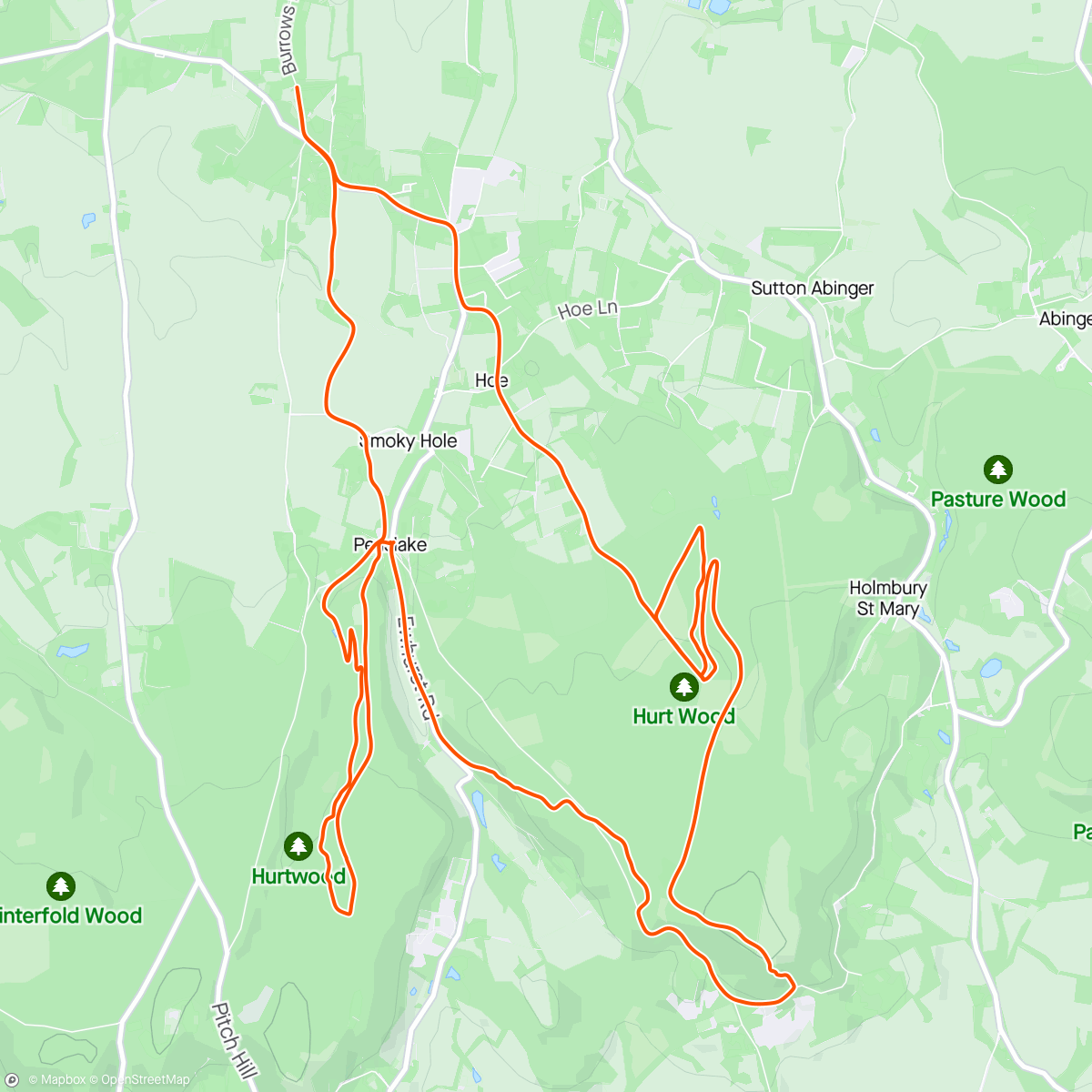 Map of the activity, Hardtail in the woods 😍