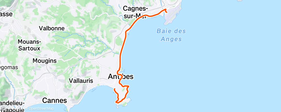 Map of the activity, Prolog