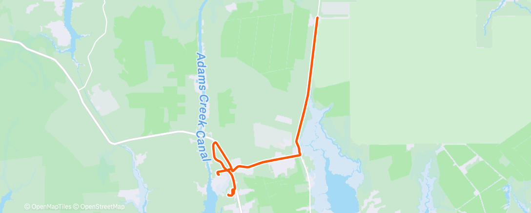 Map of the activity, Beech