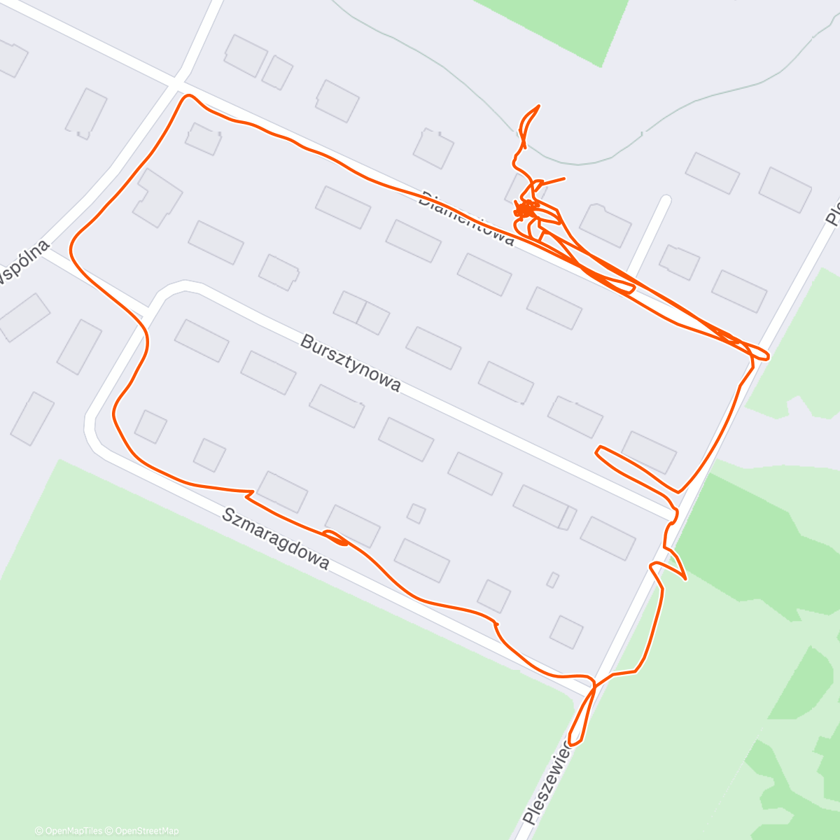 Map of the activity, Lunch Walk