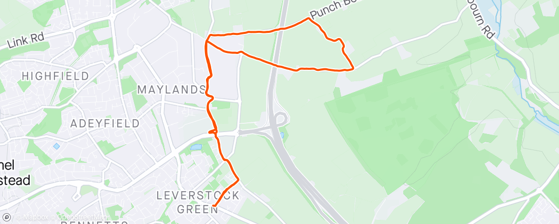Map of the activity, Morning Run - Good Steady run 🏃‍♂️ with Bro.