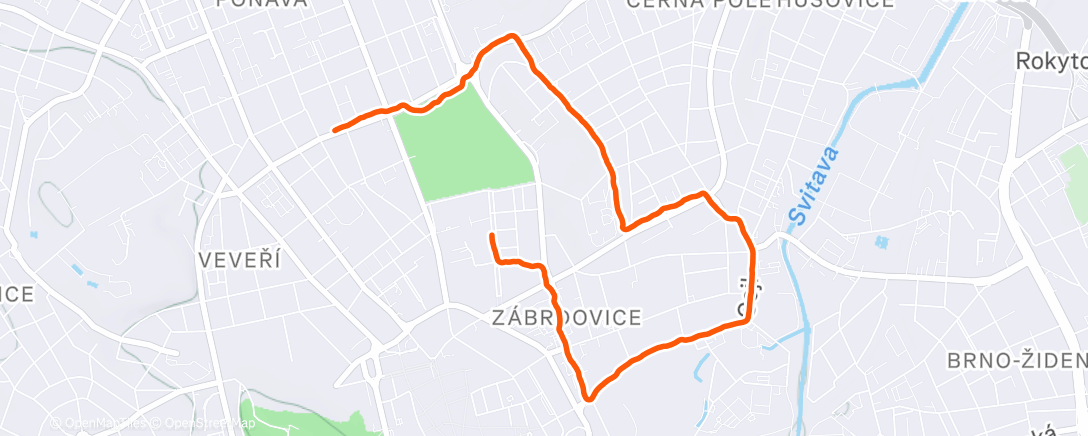 Map of the activity, Morning Run
